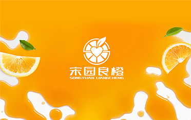 某良橙——盐城LOGO设计